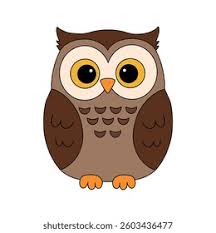 an owl